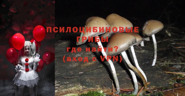 герыч Алзамай